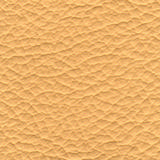 leather-br-210.jpg